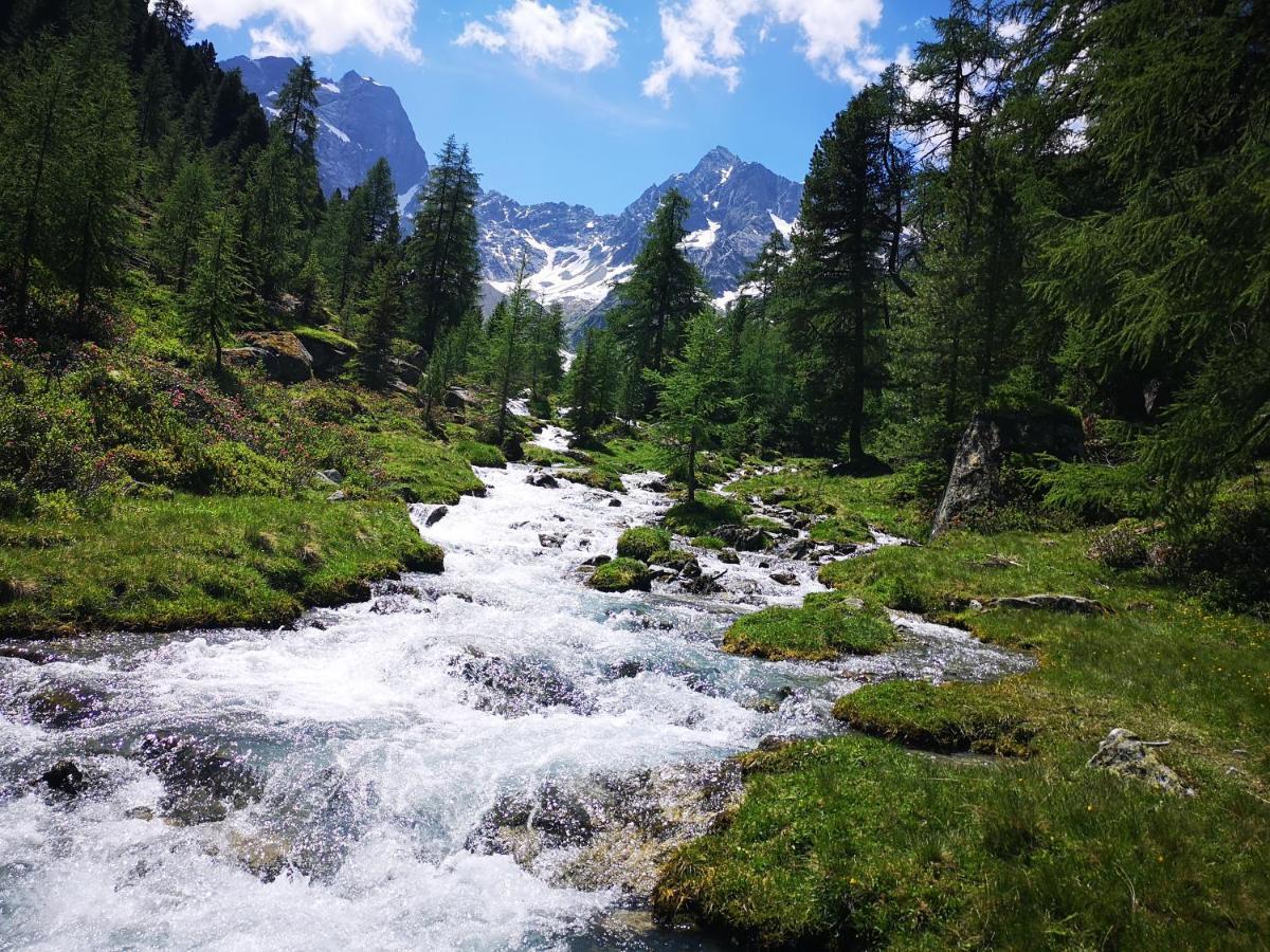 Hotel Pension Siggi Sankt Leonhard im Pitztal Dış mekan fotoğraf